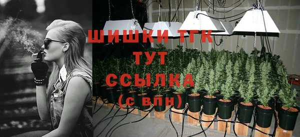 a pvp Михайлов