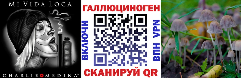 Галлюциногенные грибы Magic Shrooms  купить   Тарко-Сале 